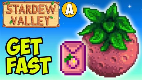 stardew melon|stardew valley melon growing.